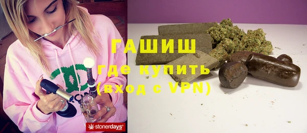 индика Алзамай