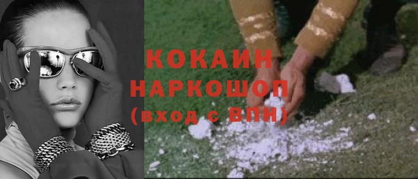 индика Алзамай