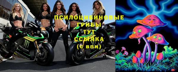 экстази Алексин