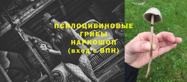 индика Алзамай